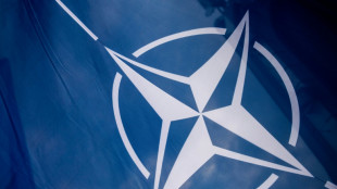 UK to remain 'bedrock' of NATO, Sunak declares