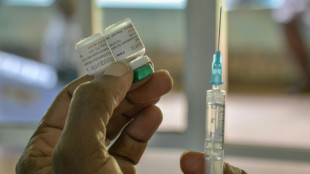 Le paludisme, toujours un fléau en Afrique malgré un nouveau vaccin