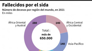 El sida, un ejemplo perfecto de la desinformación científica