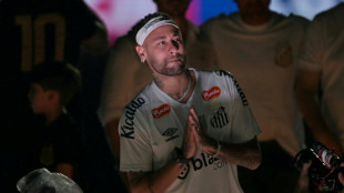 Neymar se reencontra com a torcida do Santos 