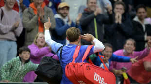 Goffin claims he was spat at by French Open spectator