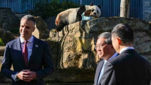 Cérémonie "symbolique" pour le Premier ministre chinois au Parlement australien, avant les sujets sensibles