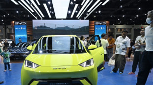 E-Autobauer BYD aus China unterzeichnet Abkommen für Werk in der Türkei