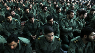 Mueren cuatro miembros de las fuerzas de seguridad de Irán en un acto "terrorista"