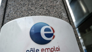 Embauches: Pôle emploi prévoit "une année de tous les records"