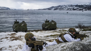 La OTAN se prepara para una amenaza de Rusia en el rudo clima del Ártico
