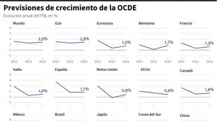 La OCDE revisa al alza sus previsiones de crecimiento mundial en 2023 y 2024