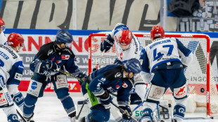 Eishockey: Straubing im DEL-Halbfinale - Gegner Berlin