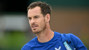 Wimbledon craves Murray magic, Djokovic in action