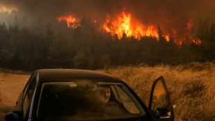 Greek wildfires engulf mountain as they approach Greek capital