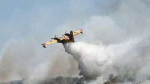 Incêndios na Grécia estão 'sob controle', mas bombeiros mantêm cautela