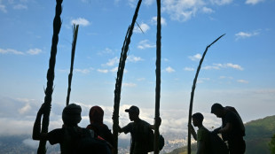 Venezuela: la tradition des "palmeros" descendant des rameaux de la montagne 
