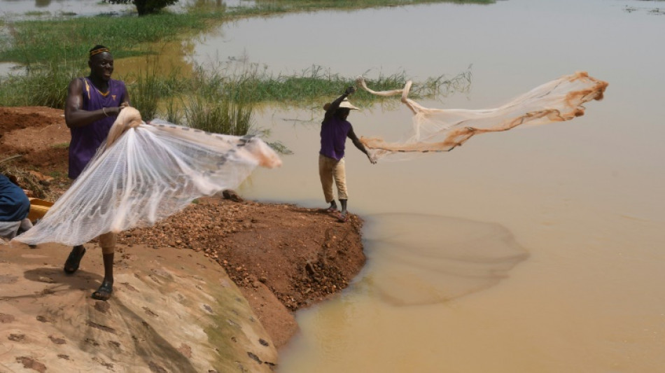 Jihadist fears cast shadow on Niger-Benin border