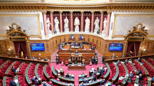 Mariage d'un étranger en situation irrégulière: le Sénat vote l'interdiction malgré les barrières juridiques