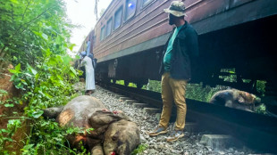 Sri Lanka train derailed after smashing into elephants