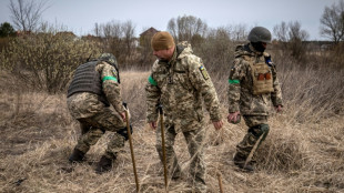 Ucrania prevé décadas para desminar su territorio