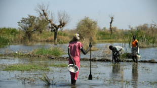 South Sudan floods affect 1.4 million, displace 379,000: UN