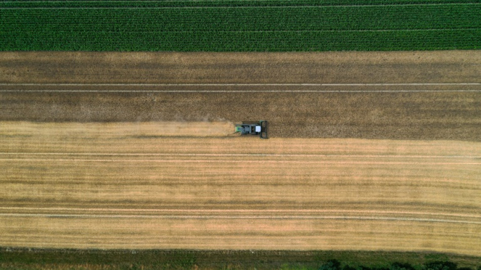 Erzeugerpreise für Agrarprodukte erneut stark gestiegen