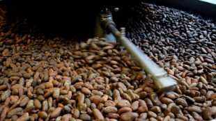 Red-hot cocoa price melts profit at top chocolate-maker