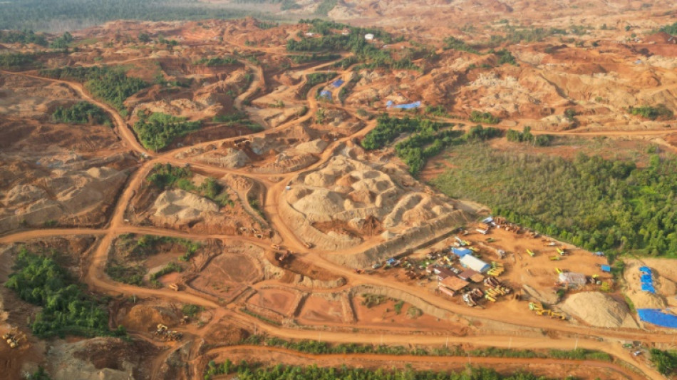 Satellite images show deforestation toll of Indonesia mines