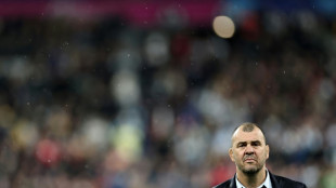 Rugby: Michael Cheika nommé entraîneur de Leicester