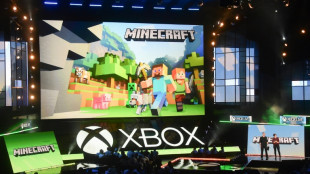 Minecraft, un juego global que engancha a estudiantes, activistas y empresarios