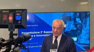 'Cresce in Italia il mercato dell'Ia, a 909 milioni nel 2024'