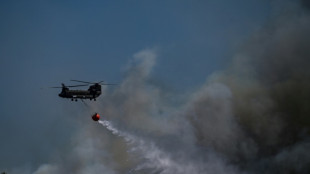 Grèce: les incendies près d'Athènes maîtrisés mais l'été s'annonce difficile