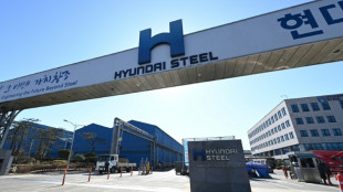 Hyundai investirá US$ 5,8 bi em planta siderúrgica nos EUA, diz Casa Branca