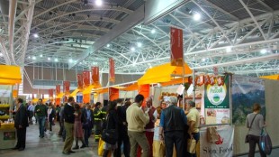 Camino to Commence Drilling at its Los Chapitos Copper Project in Peru; Peru's Ministry of Energy and Mines Names Los Chapitos Among Top 15 Priority Exploration Projects